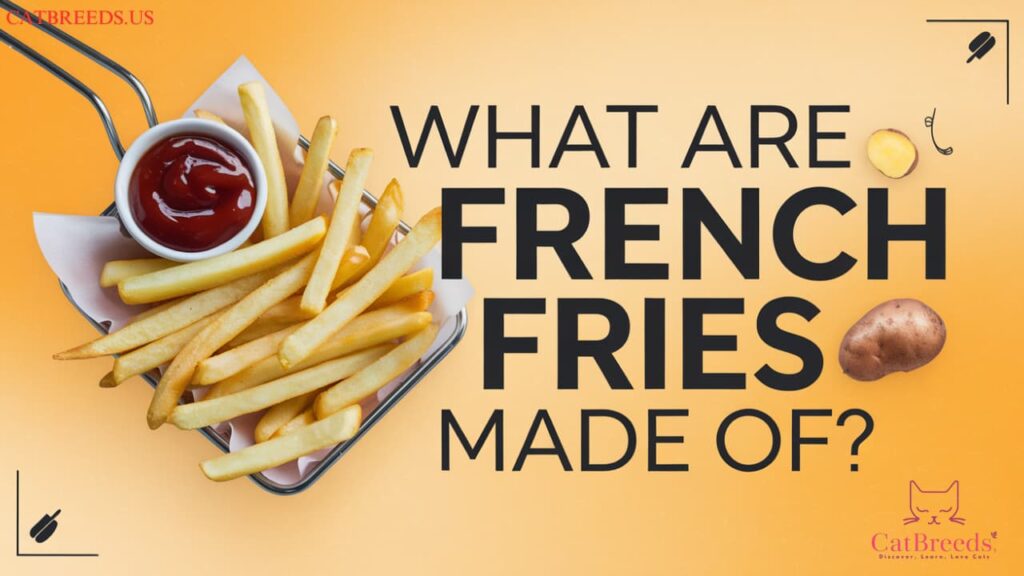 What are French fries made of Can Cat Eat